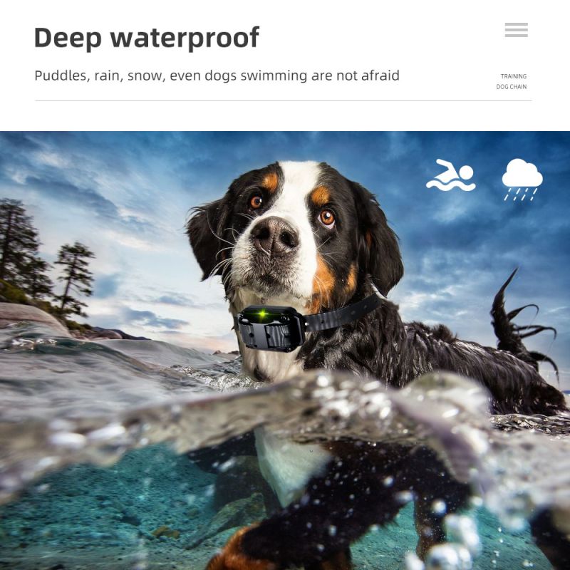 Transform Dog Training with 800m Pet Remote Rechargeable Adjustable Levels IP7 Waterproof Collar Vibration Shock