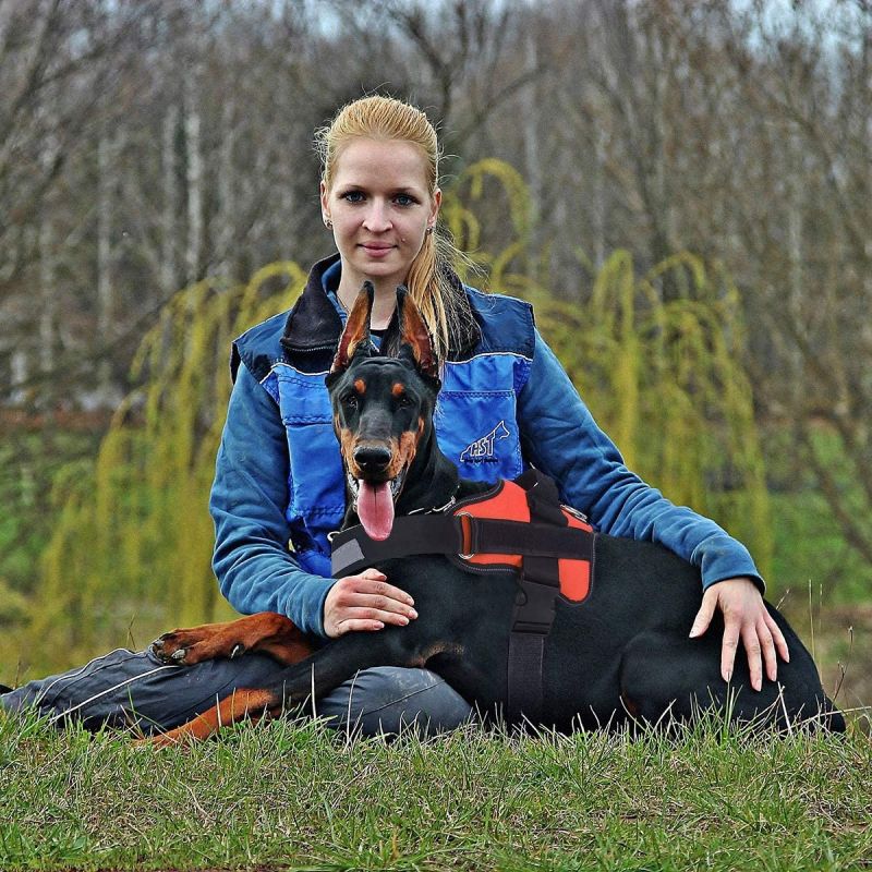 No-Pull Reflective Dog Vest with Handle Adjustable Harness for Medium Breeds Comfortable Walking Gear