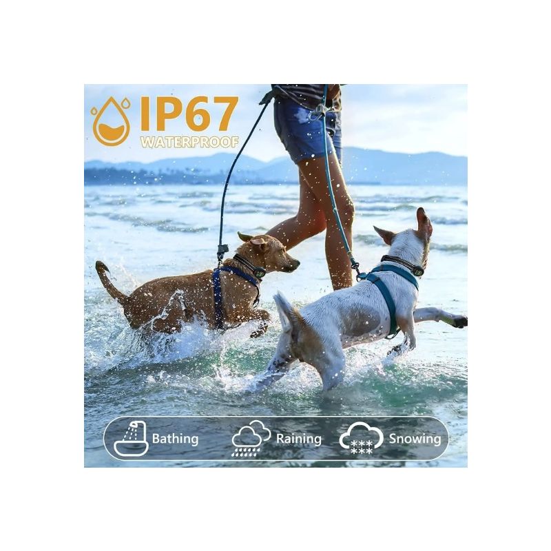 Smart Automatic Anti Barking Dog Collar Rechargeable Design with Intelligent Bark Recognition Humane Solution