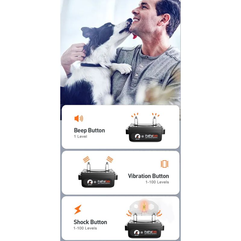 1000m Electric Dog Training Collar Remote Control with Safety Keylock and Adjustable Modes for Humane Training