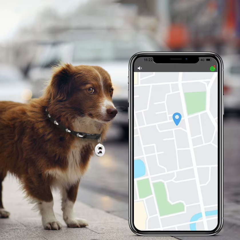 Innovative Dog Tracker Airtag Dog Collar Real-Time Location Bluetooth Tracking Pet Owner Essentials