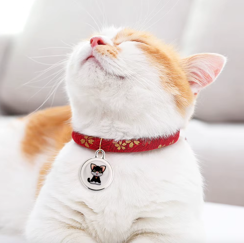 Innovative Dog Tracker Airtag Dog Collar Real-Time Location Bluetooth Tracking Pet Owner Essentials